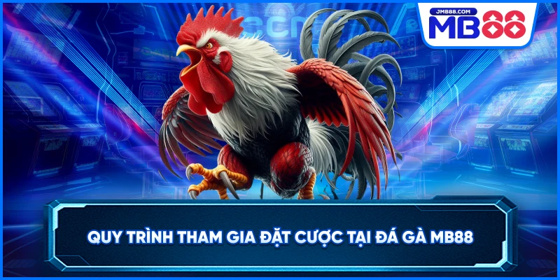 Quy trình tham gia đặt cược tại đá gà MB88